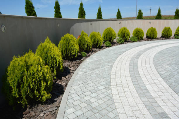 Best Best Driveway Pavers  in Moapa Valley, NV