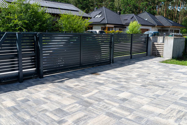 Best Professional Driveway Pavers  in Moapa Valley, NV