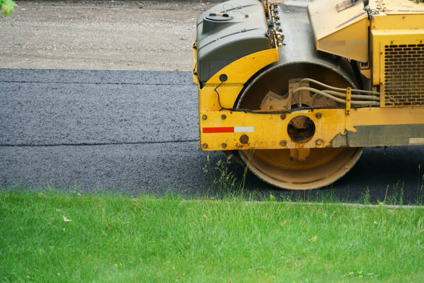 Best Local Driveway Pavers  in Moapa Valley, NV