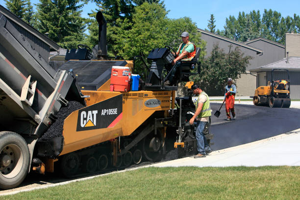 Best Custom Driveway Pavers  in Moapa Valley, NV
